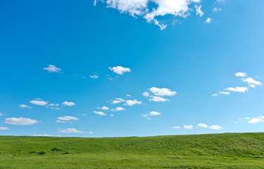 Image showing summer landscape