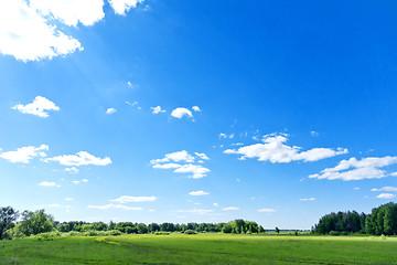 Image showing summer landscape