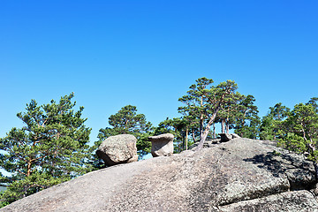 Image showing pines on mountain