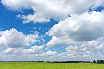 Image showing summer landscape