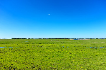 Image showing summer landscape