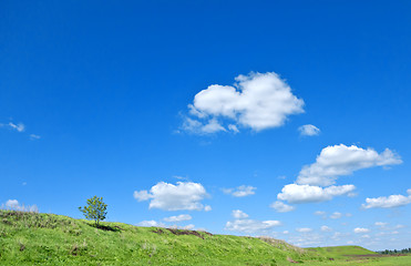 Image showing summer landscape