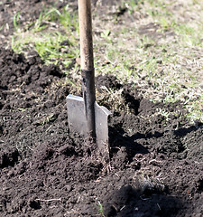 Image showing shovel