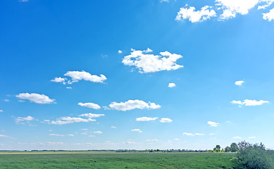 Image showing summer landscape