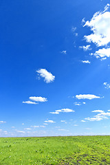 Image showing summer landscape