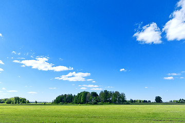 Image showing summer landscape