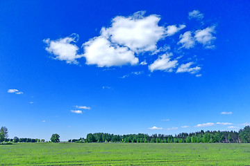 Image showing summer landscape