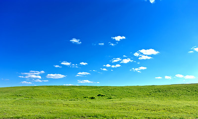 Image showing summer landscape