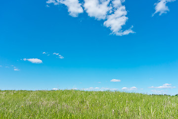 Image showing summer landscape