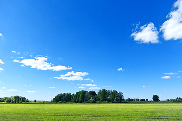 Image showing summer landscape