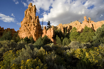 Image showing Dixie National Forest