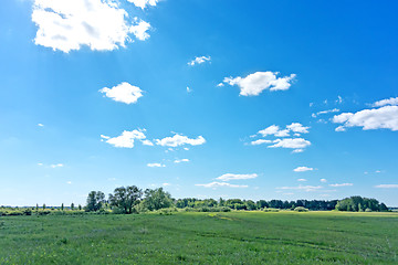 Image showing summer landscape