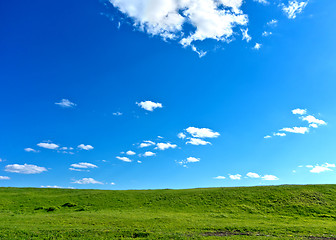 Image showing summer landscape