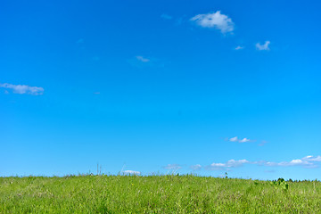 Image showing summer landscape