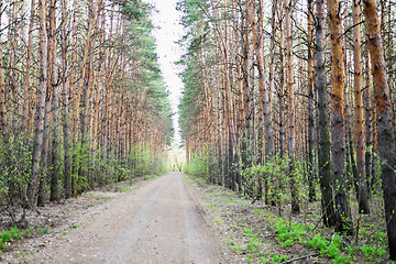 Image showing road in forest