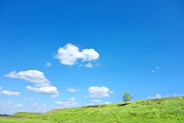 Image showing summer landscape