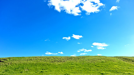 Image showing summer landscape