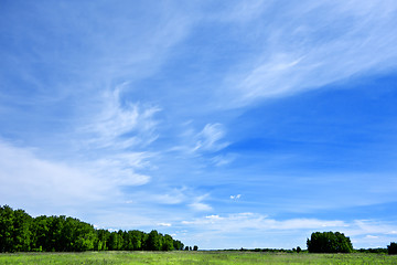 Image showing summer landscape