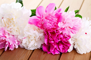 Image showing peony