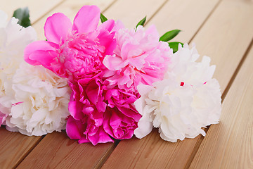 Image showing peony