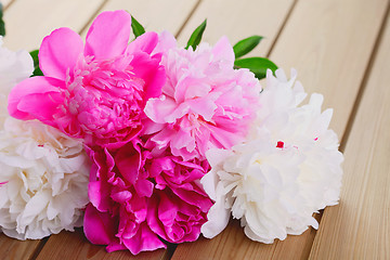 Image showing peony