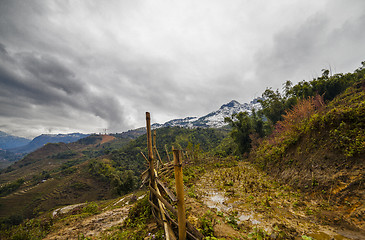 Image showing Rice field terraces. Sapa Vietnam