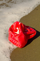 Image showing plastic pollution garbage on the sea shore