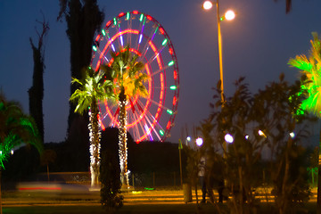 Image showing City lights against  background of palm trees