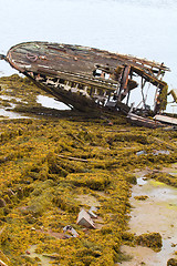 Image showing skeleton of an ancient ship after crash