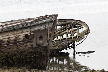 Image showing skeleton of an ancient ship after crash