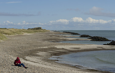 Image showing Coastline