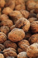 Image showing walnuts background