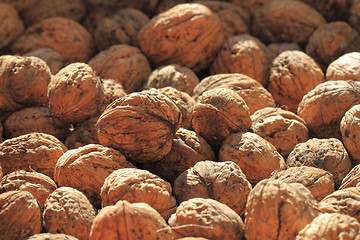 Image showing walnuts background