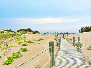 Image showing Spanish beach with white sand dunes