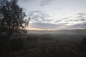 Image showing misty morning