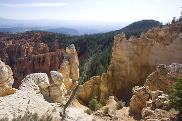 Image showing Bryce Canyon National Park, Utah