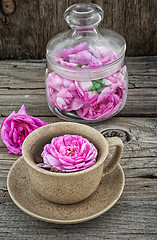 Image showing tea rose