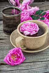 Image showing tea rose