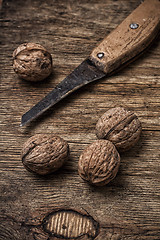 Image showing walnut