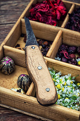 Image showing medicinal herbs