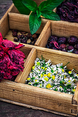 Image showing medicinal herbs