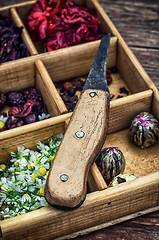 Image showing medicinal herbs