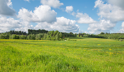 Image showing summer landscape