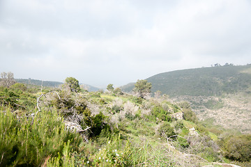 Image showing Spring season landscape