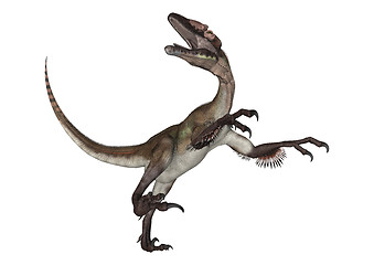 Image showing Dinosaur Utahraptor