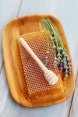 Image showing honey comb