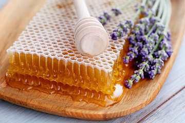 Image showing honey comb