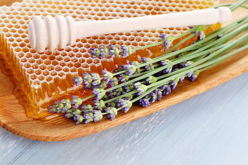 Image showing honey comb