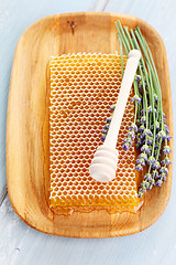 Image showing honey comb