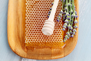 Image showing honey comb